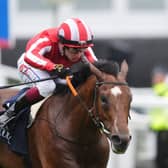 Bay City Roller will lead George Scott's ParisLongchamp team