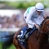 Friendly Soul is unbeaten at ParisLongchamp