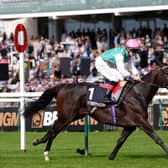 Newmarket Races – Saturday October 3rd