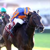 True Love got back to winning ways