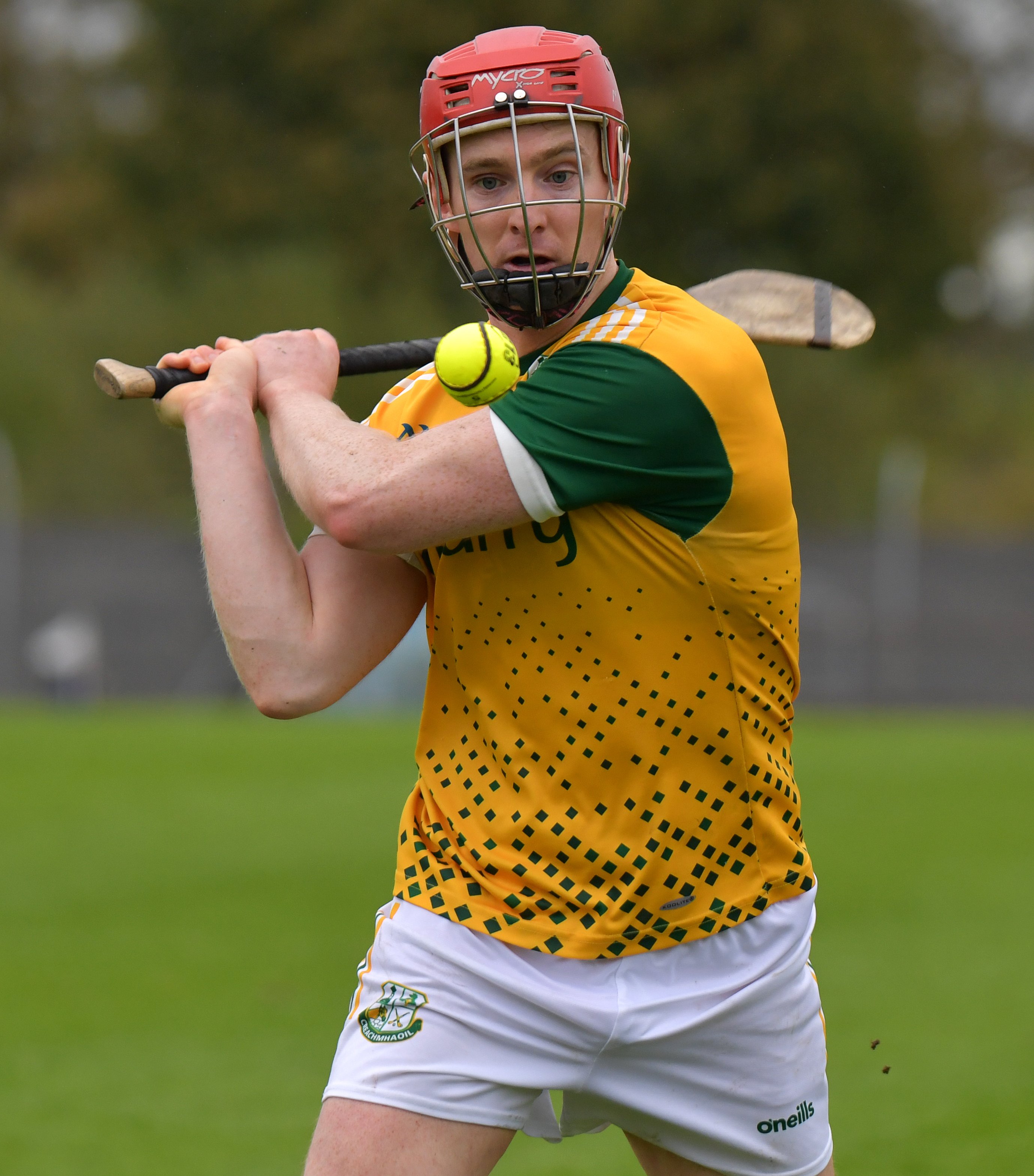 Tom Monaghan inspires Craughwell to Galway SHC quarter-final win over ...