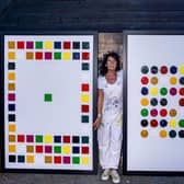 Gina Long, who was inspired to paint by Ed Sheeran, with some of the paintings from her series called Square Peg Round Hole. (Ed Harvey, EFBH Films/ PA)