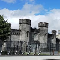 'Naive' woman brought phone into Portlaoise Prison