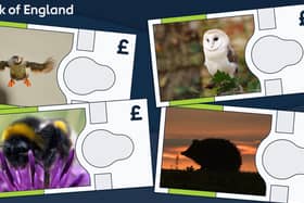 Images of animals
