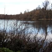 Traffic should play second fiddle to pedestrians at Marlfield Lake, says Cllr Pat English