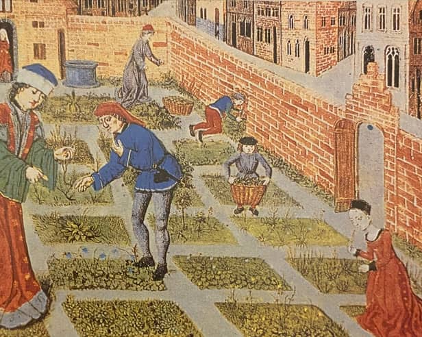 A scene from a typical medieval garden, details of which will be highlighted during the forthcoming John Bradley weekend