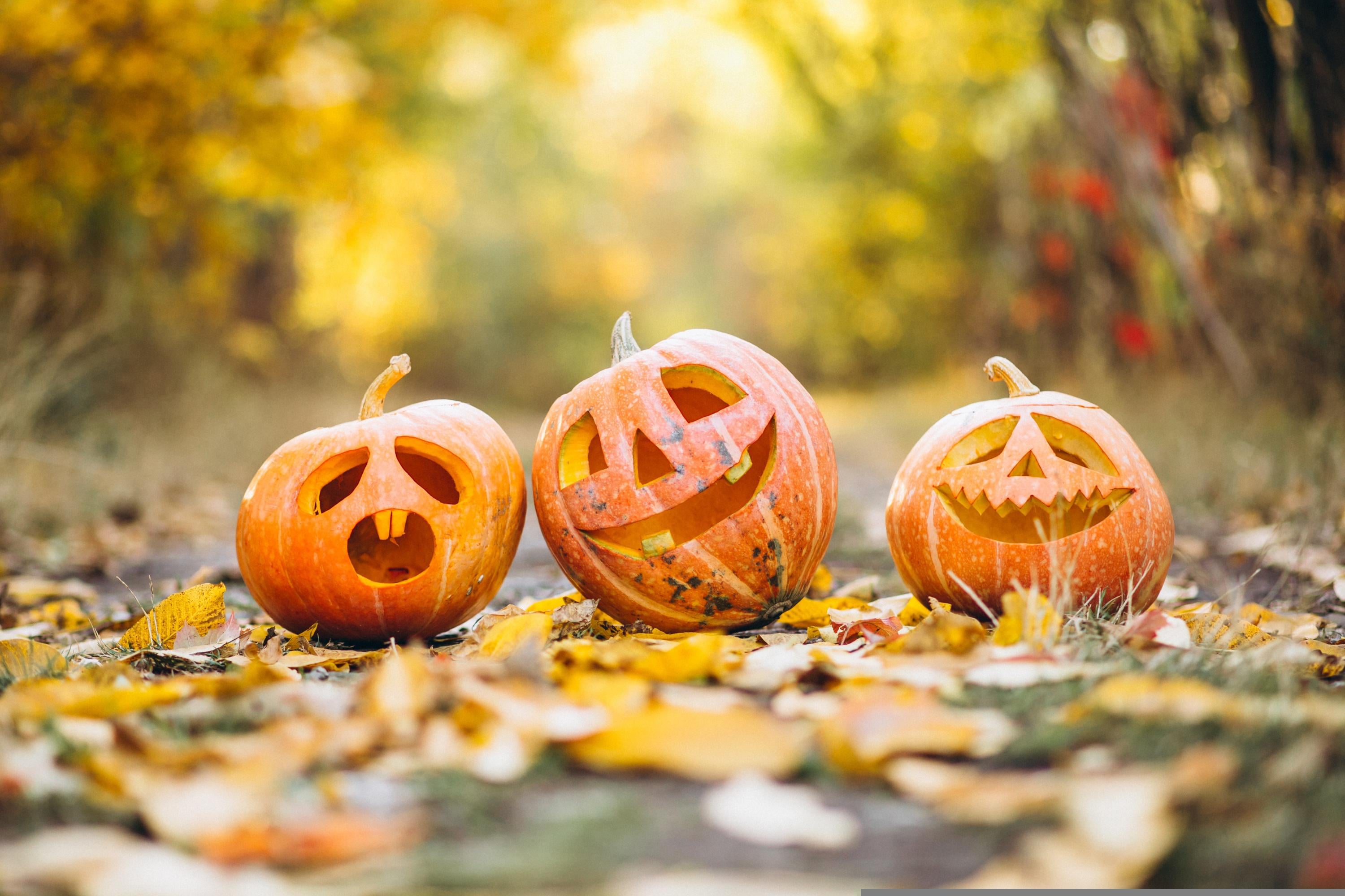 Pumpkin decorating competition for children coming soon to Kildare