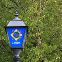 Burglars break into homes while two Limerick men were in their beds