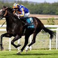 Scandinavia could be part of O’Brien’s Champions Day squad