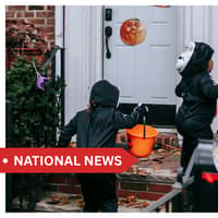 Expert warns Irish households that popular Halloween item is a 'rat magnet'