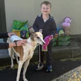 Young boy Toby delivers goodies for the dogs at Carlow shelter