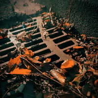 ‘Vital’ to keep gullies clean across Waterford amid threat of ‘El Nino’ storms