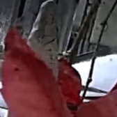 The car was caught on camera during the serious incident