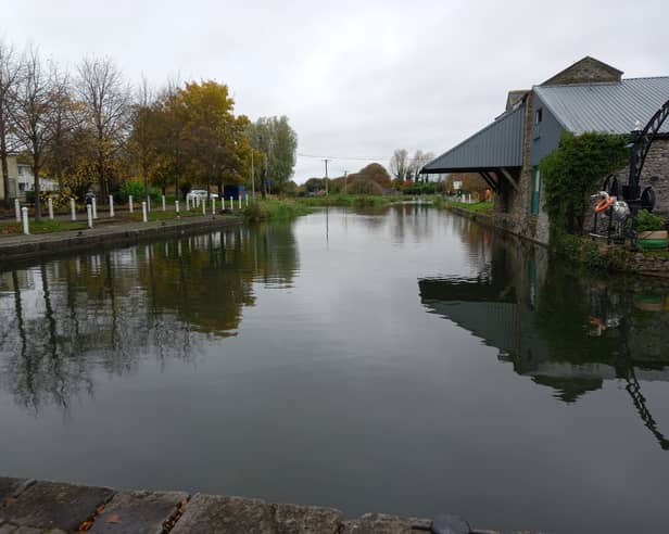 A view of the Grand Canal in Naas