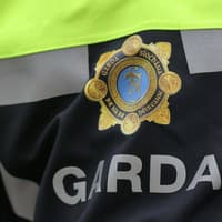 County Limerick homeowner returns from holidays to find house burgled