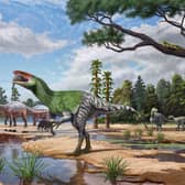 Artist's impression of Invictibellatrix amberina