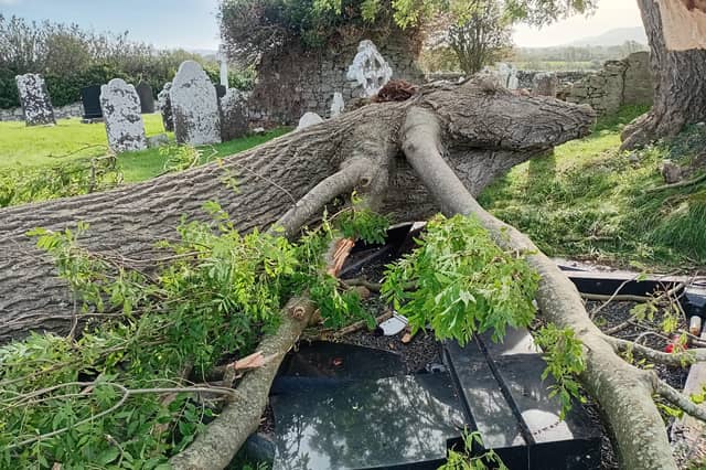 Headstones damaged in Tankardstown Cemetery after a huge tree came crashing down during high winds