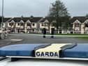 Gardaí in the Birchwood area