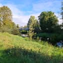 The River Suir in Thurles