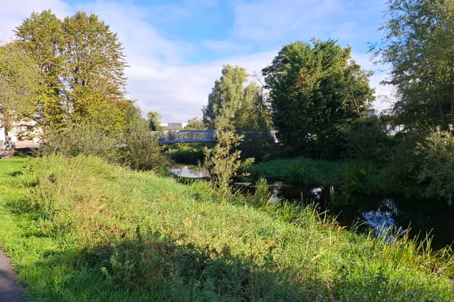 The River Suir in Thurles