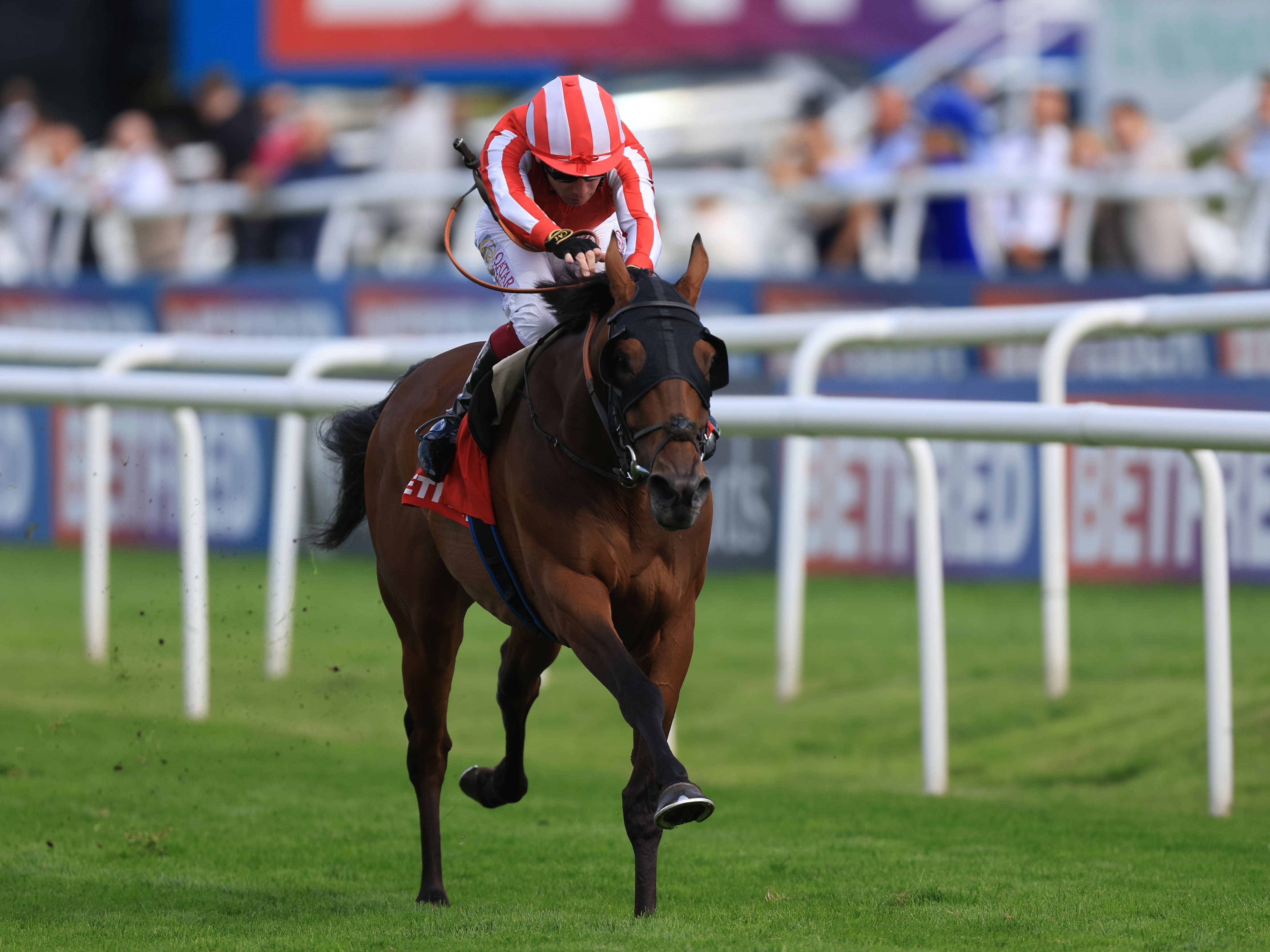 Caballo De Mar heads to Ascot in top form