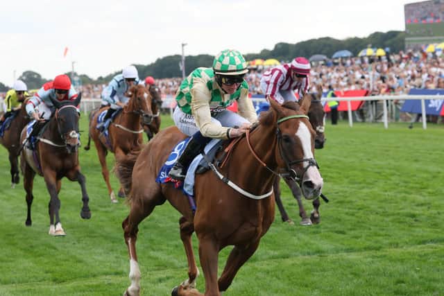 Daiquiri Bay heads to Ascot in top form (Richard Sellers/PA)
