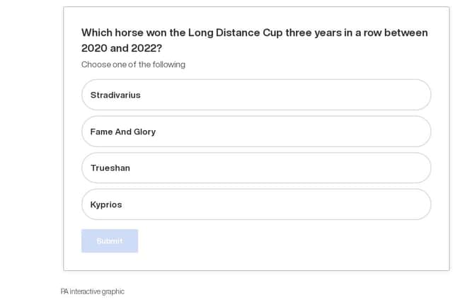 quiz visualization