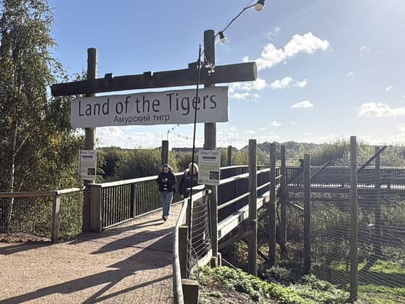 Yorkshire Wildlife Park tiger incident