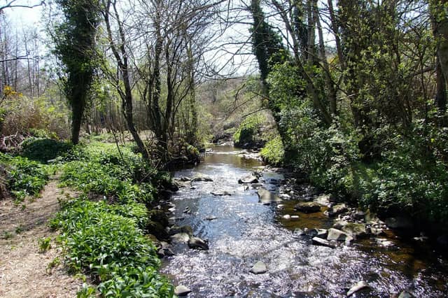 Bredagh River