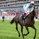 Kalpana at Ascot