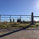 Drymen light aircraft crash