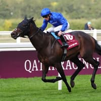 Talk Of New York the toast of Ascot with QEII victory