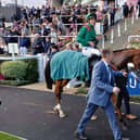 Japan calling for Calandagan