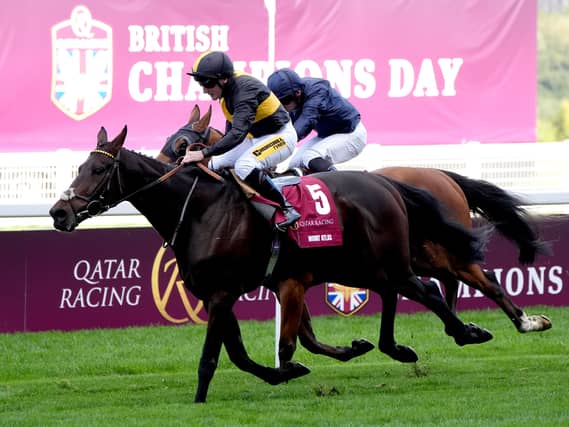 Ascot Races – Saturday October 17th