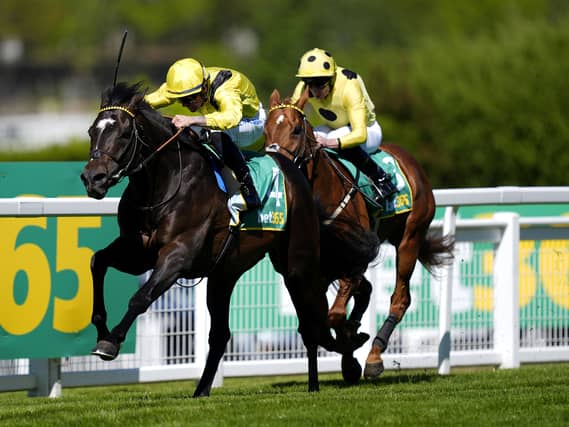 Saddadd finished his year in the Prix de l'Arc de Triomphe