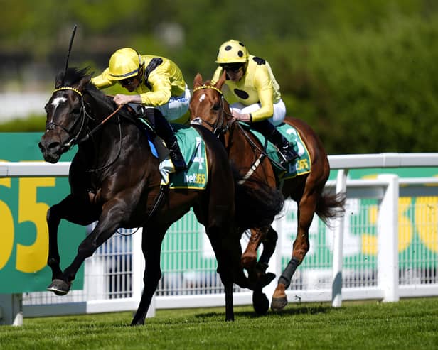 Saddadd finished his year in the Prix de l'Arc de Triomphe