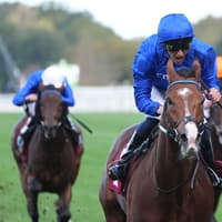 Ombudsman set for Breeders’ Cup finale