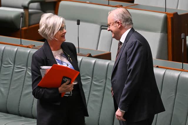 Anthony Albanese, right, said the national counter-terrorism team was investigating the incident involving Helen Haines, left (Lukas Coch/AAP Image via AP )