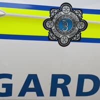 Man found on footpath dies after assault in Dublin