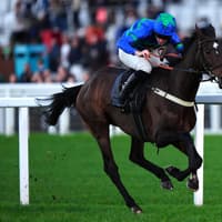 Bass Hunter impresses on hurdling debut at Plumpton