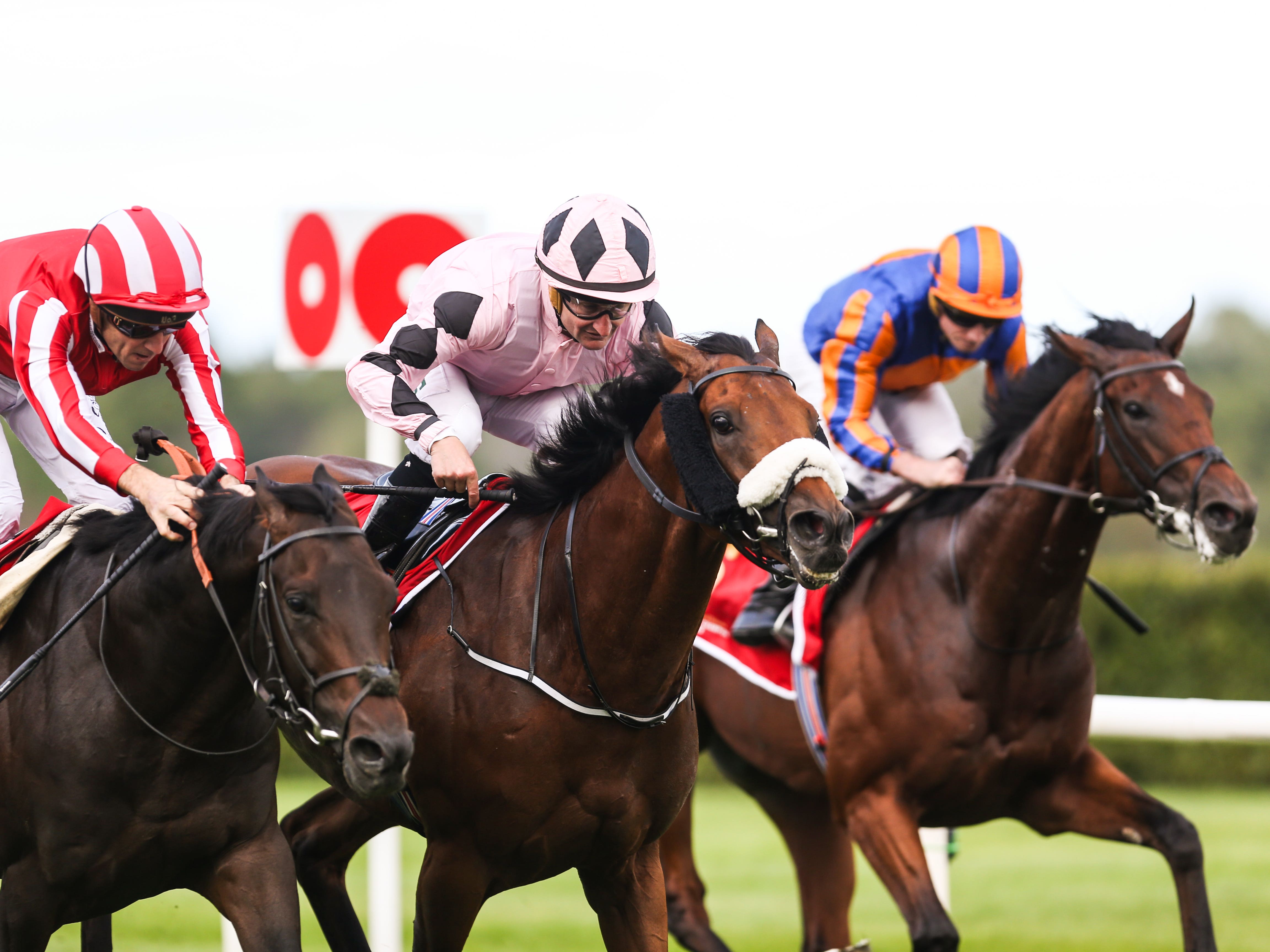 Foley hoping for one last hurrah with Hotazhell
