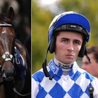 Rossa Ryan to partner Constitution Hill in Milan