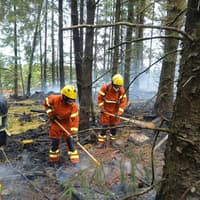 Coillte says wildfire damaged an estimated 130,000 trees on Slievenamon