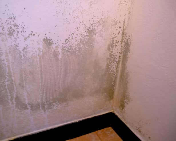A view of mould on internal walls