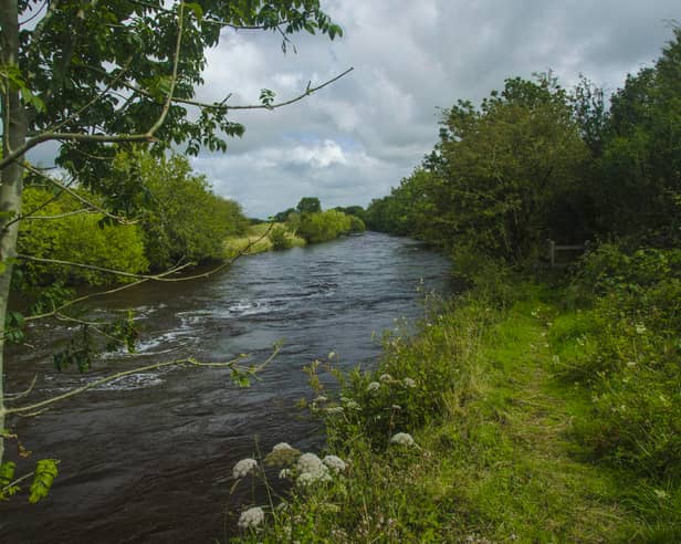 Clare River in Galway