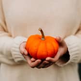 Camphill Thomastown will host its harvest festival in Kilkenny this Friday, October 23