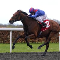 Dubai Honour set to clash with Constitution Hill in Italy