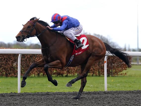 Dubai Honour will take on Constitution Hill in Italy