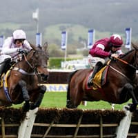 Golden Ace part of high-class Carlisle line-up