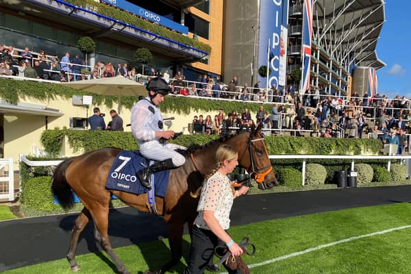 Tiffany at Ascot